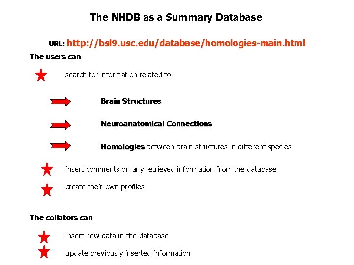 The NHDB as a Summary Database URL: http: //bsl 9. usc. edu/database/homologies-main. html The