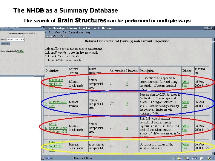 The NHDB as a Summary Database The search of Brain Structures can be performed