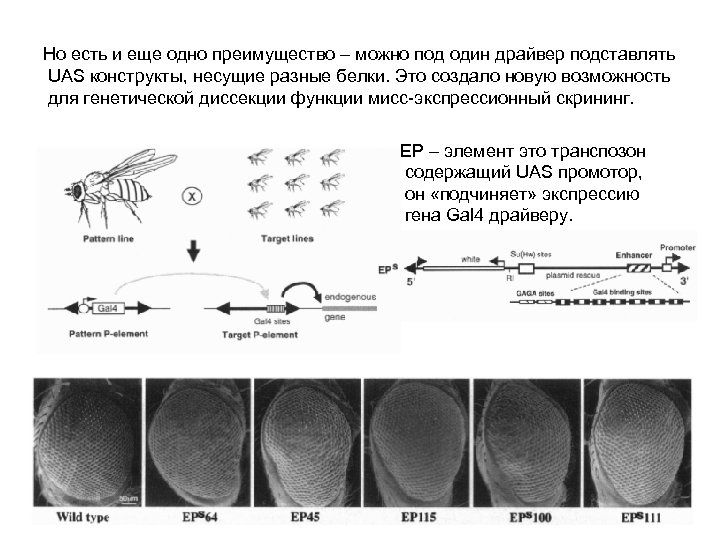 Но есть и еще одно преимущество – можно под один драйвер подставлять UAS конструкты,