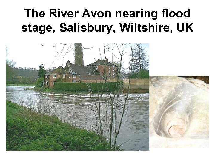 The River Avon nearing flood stage, Salisbury, Wiltshire, UK 