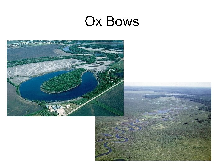 Ox Bows 