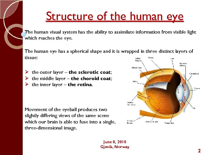Structure of the human eye The human visual system has the ability to assimilate