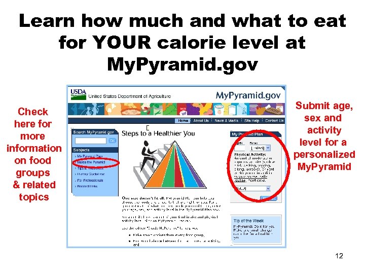 Learn how much and what to eat for YOUR calorie level at My. Pyramid.