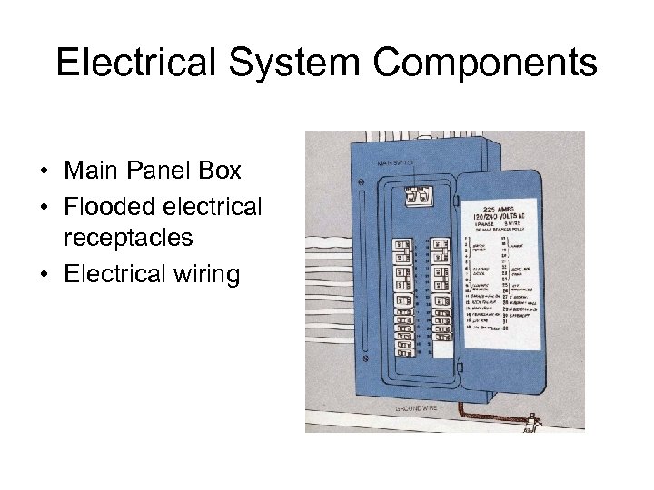 Electrical System Components • Main Panel Box • Flooded electrical receptacles • Electrical wiring
