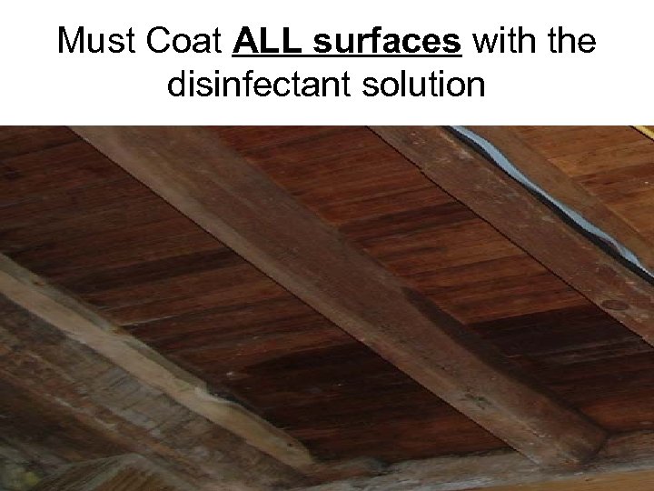 Must Coat ALL surfaces with the disinfectant solution 