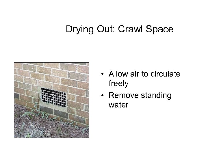 Drying Out: Crawl Space • Allow air to circulate freely • Remove standing water