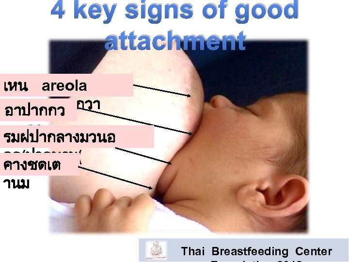 4 key signs of good attachment เหน areola สวนบนมากกวา อาปากกว าง รมฝปากลางมวนอ อก(ปากบาน( คางชดเต