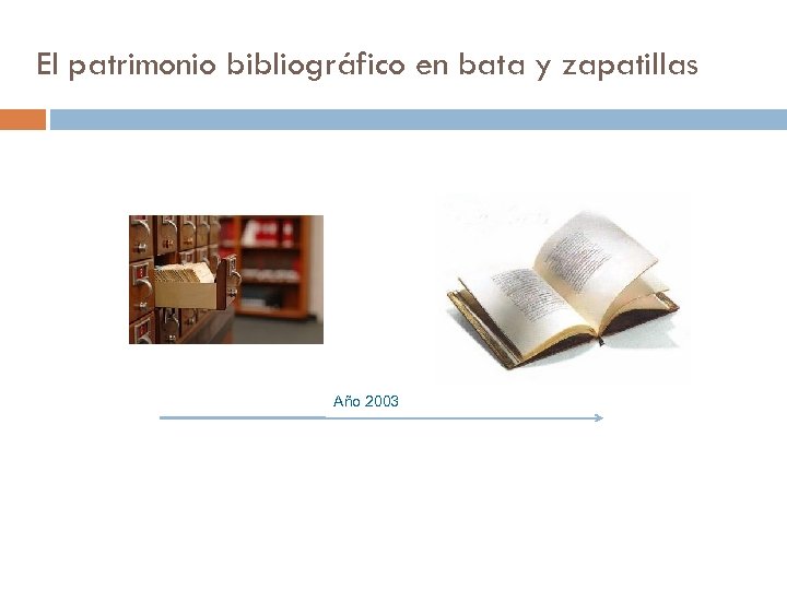 El patrimonio bibliográfico en bata y zapatillas Año 2003 