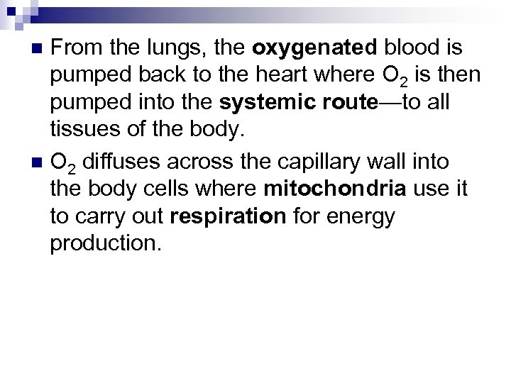 From the lungs, the oxygenated blood is pumped back to the heart where O