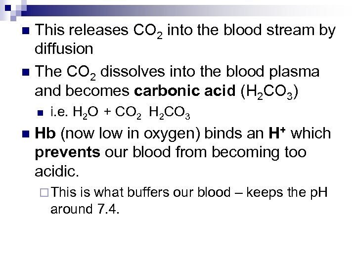 This releases CO 2 into the blood stream by diffusion n The CO 2