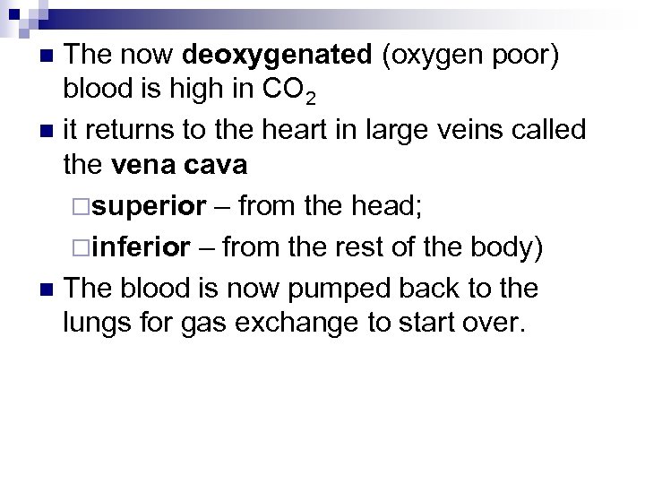 The now deoxygenated (oxygen poor) blood is high in CO 2 n it returns