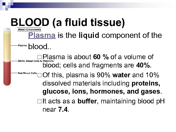 BLOOD (a fluid tissue) Plasma is the liquid component of the blood. . ¨