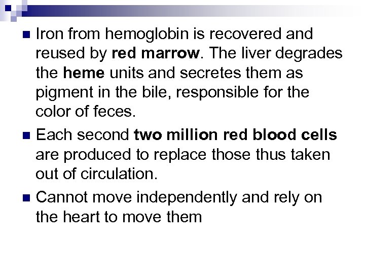 Iron from hemoglobin is recovered and reused by red marrow. The liver degrades the