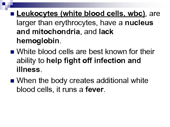 Leukocytes (white blood cells, wbc), are larger than erythrocytes, have a nucleus and mitochondria,