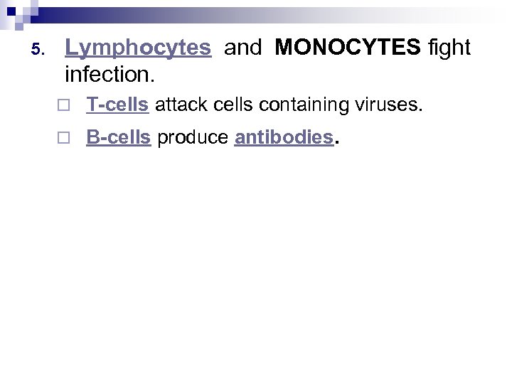 5. Lymphocytes and MONOCYTES fight infection. ¨ T-cells attack cells containing viruses. ¨ B-cells