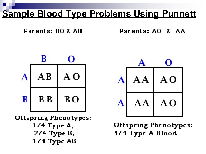 Sample Blood Type Problems Using Punnett 