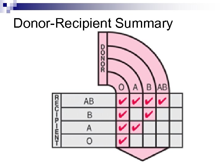 Donor-Recipient Summary 