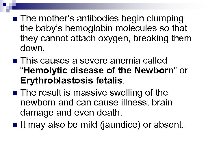 The mother’s antibodies begin clumping the baby’s hemoglobin molecules so that they cannot attach