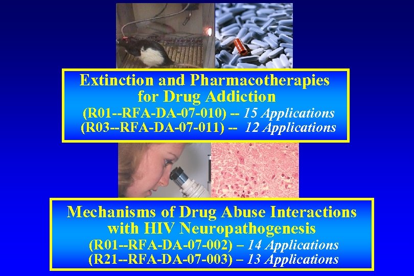 Extinction and Pharmacotherapies for Drug Addiction (R 01 --RFA-DA-07 -010) -- 15 Applications (R