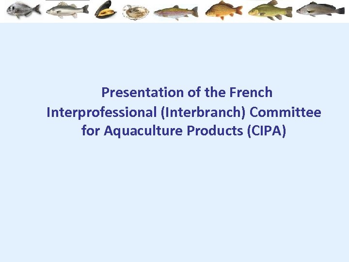  Presentation of the French Interprofessional (Interbranch) Committee for Aquaculture Products (CIPA) 