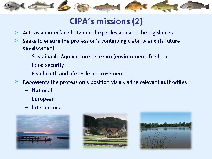 CIPA’s missions (2) > Acts as an interface between the profession and the legislators.