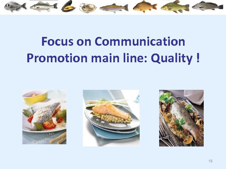 Focus on Communication Promotion main line: Quality ! 19 