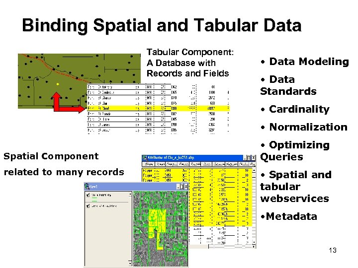 Binding Spatial and Tabular Data Spatial Component: Tabular Component: A Database with Polygons, Lines,