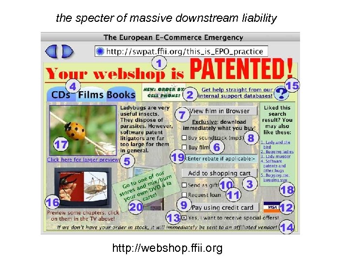the specter of massive downstream liability http: //webshop. ffii. org 
