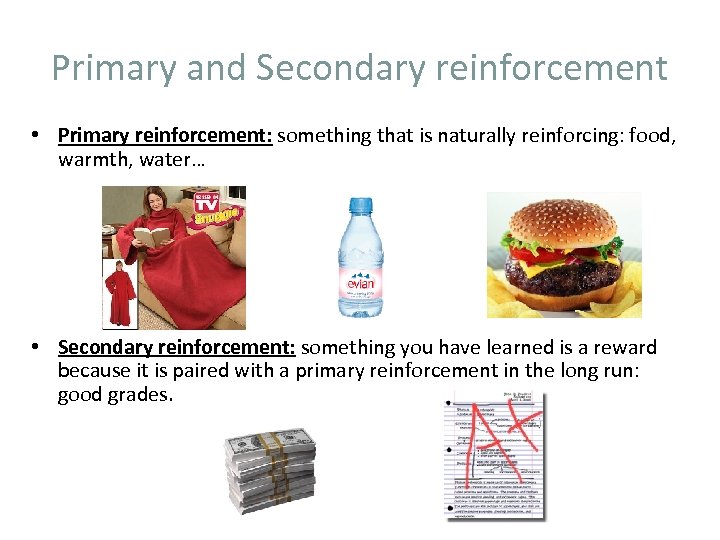 Primary and Secondary reinforcement • Primary reinforcement: something that is naturally reinforcing: food, warmth,