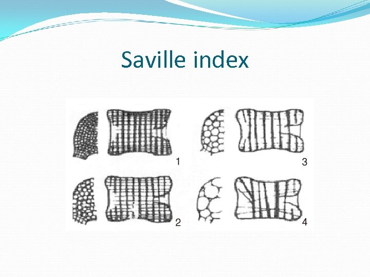 Saville index 