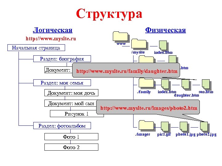 Структура Логическая http: //www. mysite. ru Начальная страница Физическая www /mysite index. htm Раздел: