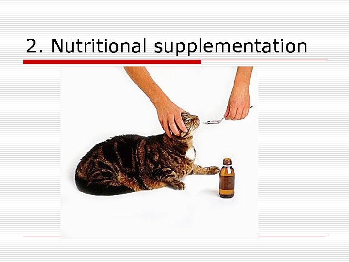 2. Nutritional supplementation 