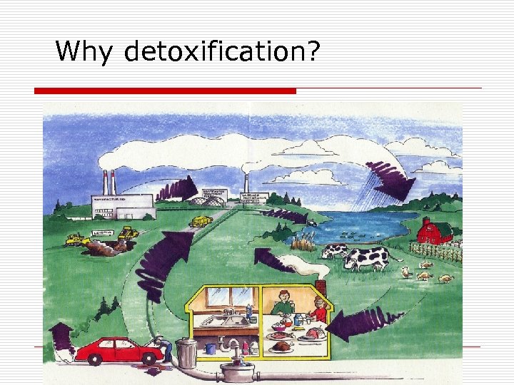 Why detoxification? 