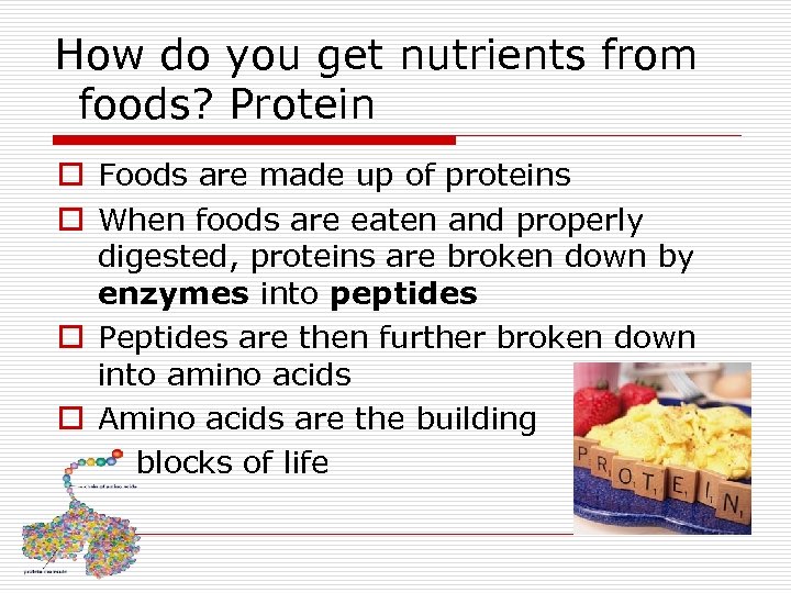 How do you get nutrients from foods? Protein o Foods are made up of