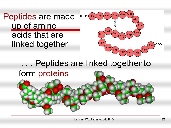 Peptides are made up of amino acids that are linked together. . . Peptides