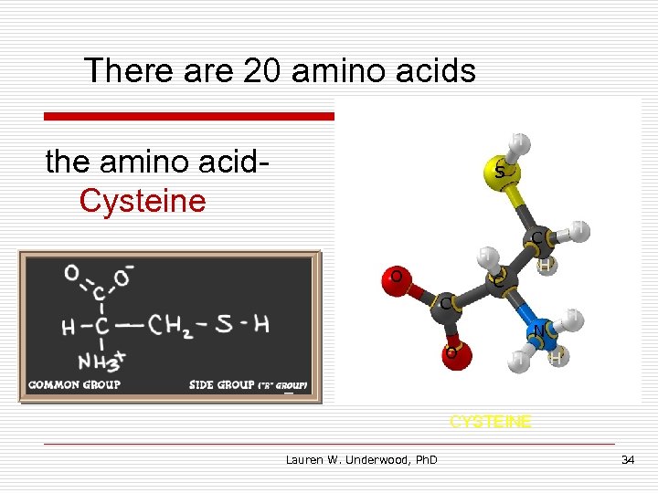 There are 20 amino acids H the amino acid. Cysteine S H O H