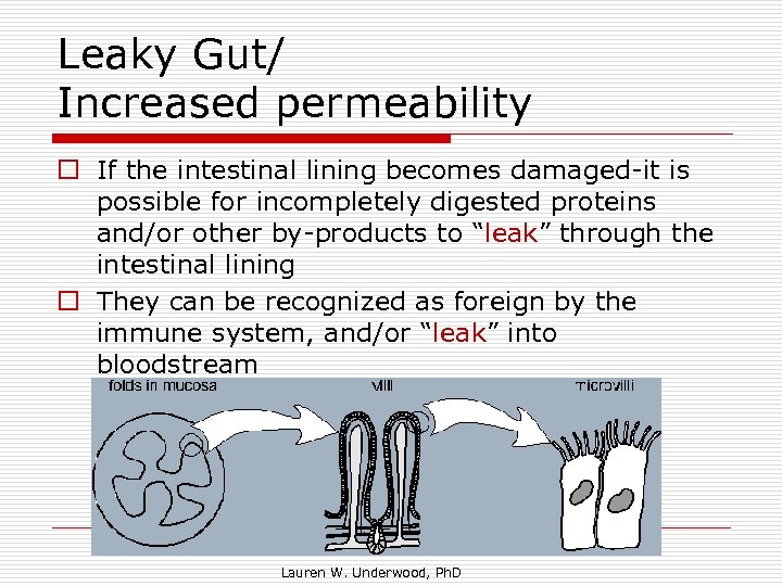 Leaky Gut/ Increased permeability o If the intestinal lining becomes damaged-it is possible for