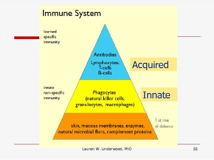 Acquired Innate Lauren W. Underwood, Ph. D 55 