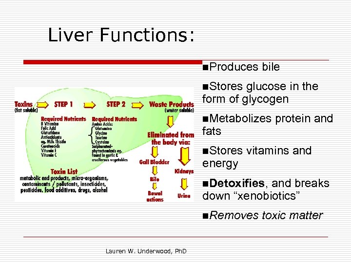 Liver Functions: n. Produces bile n. Stores glucose in the form of glycogen n.