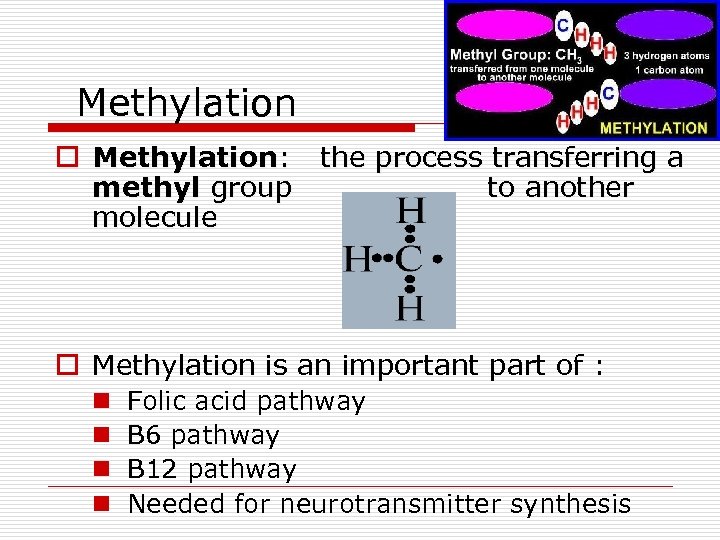 Methylation o Methylation: the process transferring a methyl group to another molecule o Methylation