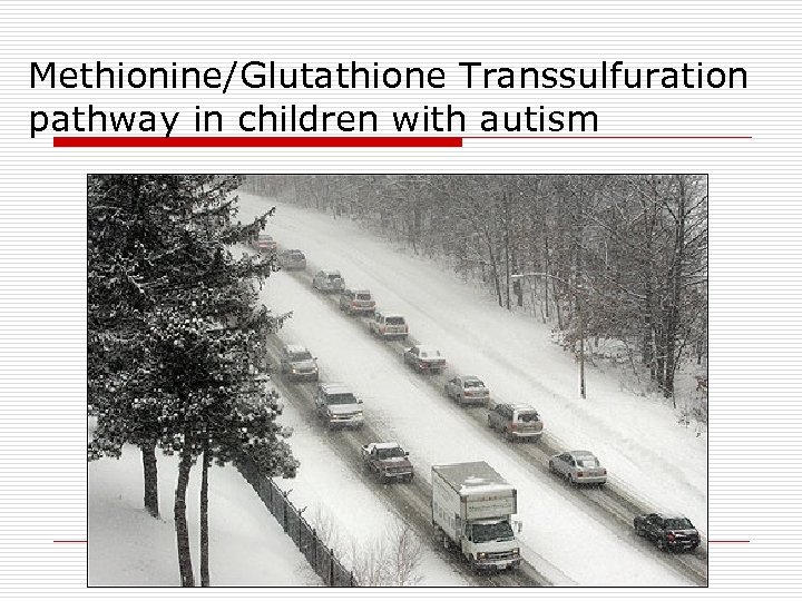 Methionine/Glutathione Transsulfuration pathway in children with autism 