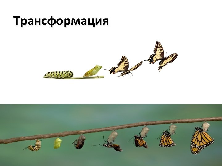 Трансформация 