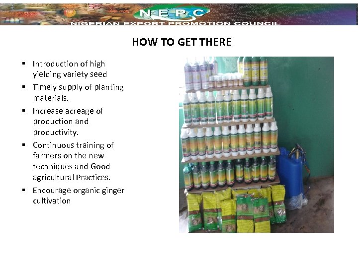  HOW TO GET THERE § Introduction of high yielding variety seed § Timely