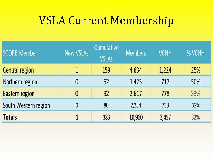 VSLA Current Membership 