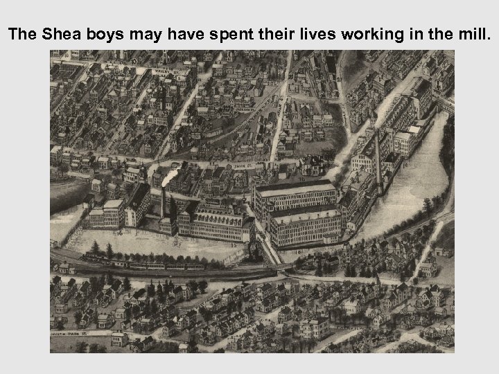 The Shea boys may have spent their lives working in the mill. 