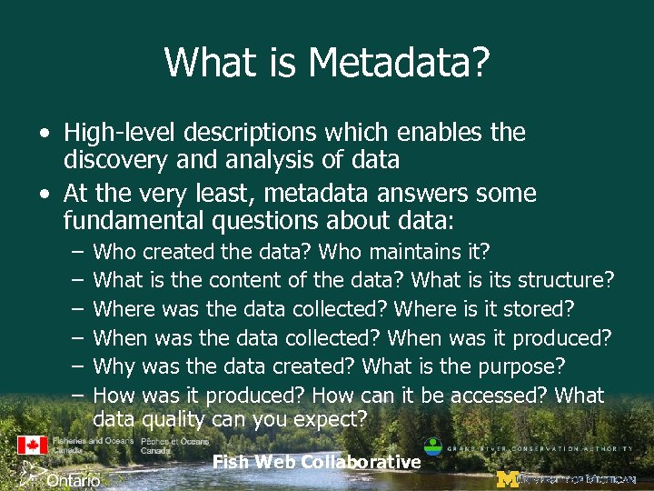 What is Metadata? • High-level descriptions which enables the discovery and analysis of data