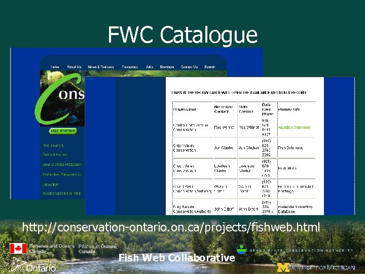 FWC Catalogue http: //conservation-ontario. on. ca/projects/fishweb. html Fish Web Collaborative 