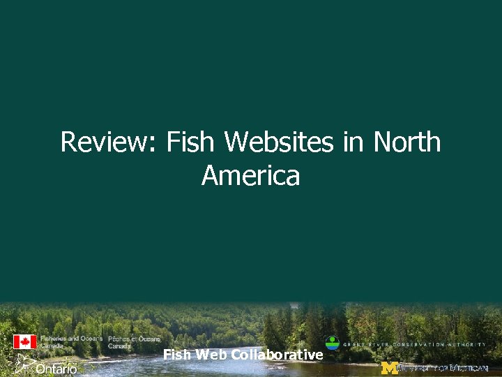 Review: Fish Websites in North America Fish Web Collaborative 