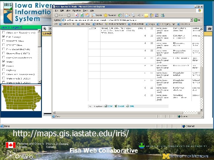http: //maps. gis. iastate. edu/iris/ Fish Web Collaborative 