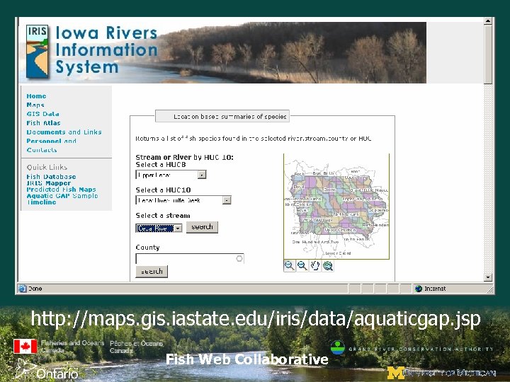 http: //maps. gis. iastate. edu/iris/data/aquaticgap. jsp Fish Web Collaborative 